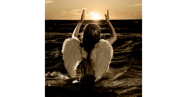 Horoscopul divin: Cartea ingerului pentru zodia ta!  