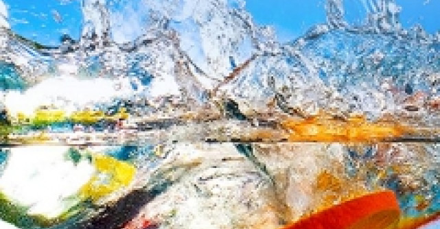 Te-ai inscris la workshopul Kudika?