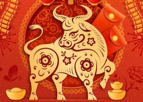 2022, Anul Tigrului de Apa: Horoscop chinezesc pentru zodia Bivol