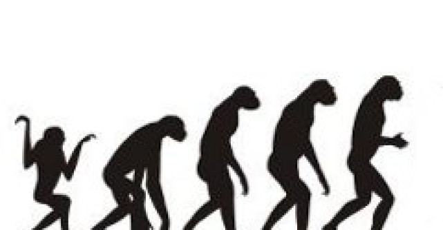 Cum au evoluat creierul si penisul uman de-a lungul timpului?