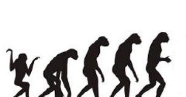 Cum au evoluat creierul si penisul uman de-a lungul timpului?
