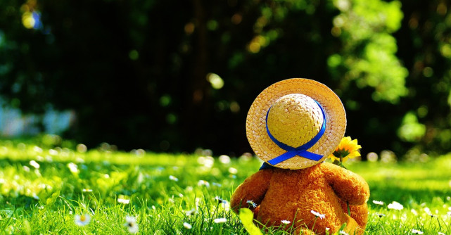 Povestea celebrului ursuleț Paddington, inspirată din realitatea refugiaților. Vocea sa a fost dublată în Ucraina de Zelenski