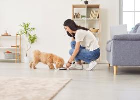 Top 5 criterii după care să alegi hrana de la PetPal pentru patrupedul tău