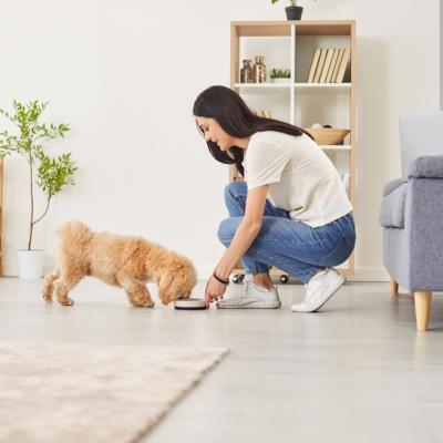 Top 5 criterii după care să alegi hrana de la PetPal pentru patrupedul tău 