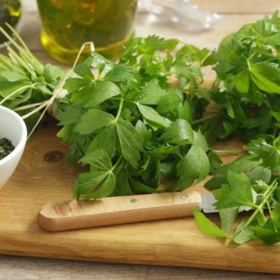 Leuşteanul - planta minune a primăverii