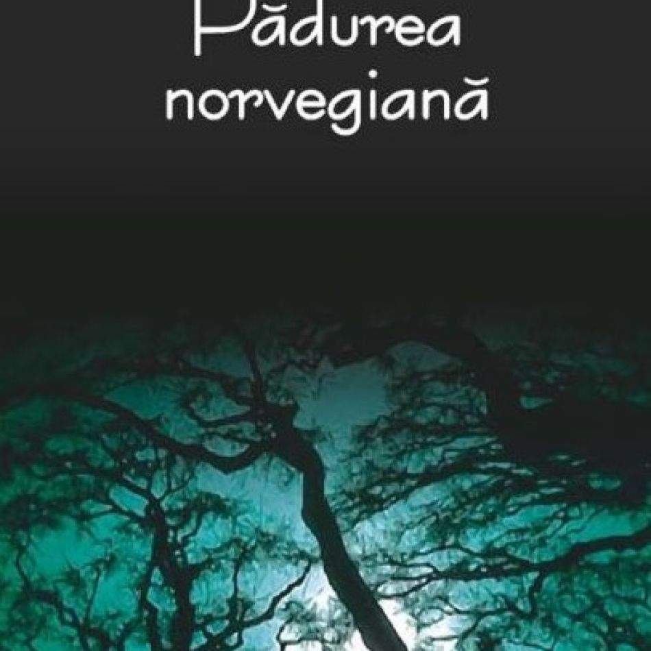 Destinat bibliotecii inimii tale: 10 cărți de dragoste care îți vor încânta sufletul și îți vor aprinde imaginația