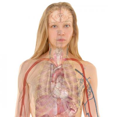 5 Tratamente naturiste pentru TIROIDA