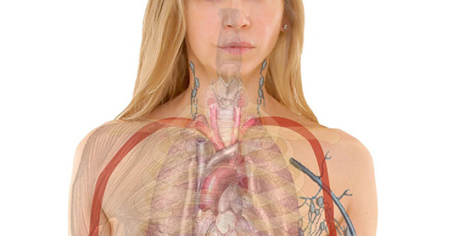 5 Tratamente naturiste pentru TIROIDA