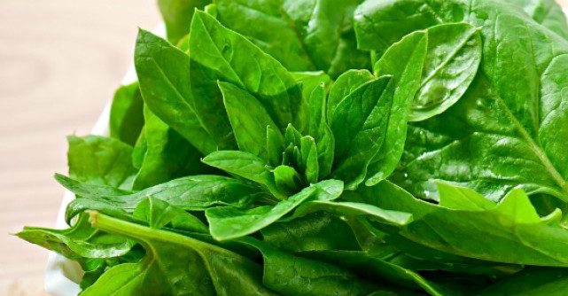 Retete cu spanac: un deliciu de sezon