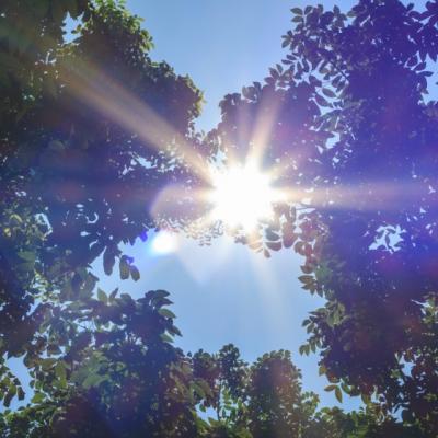 10 moduri in care soarele iti afecteaza organismul