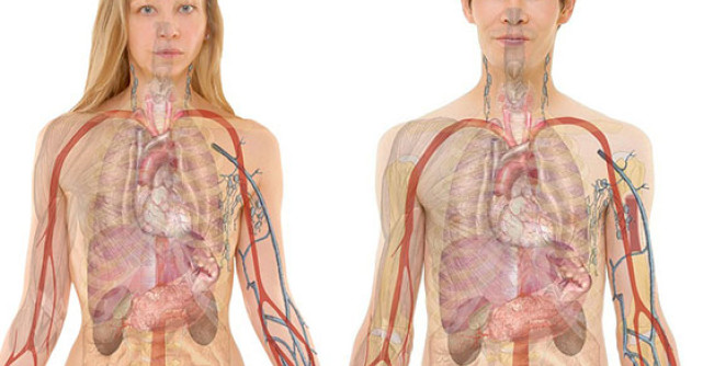 5 Greseli care provoaca PIETRE LA RINICHI