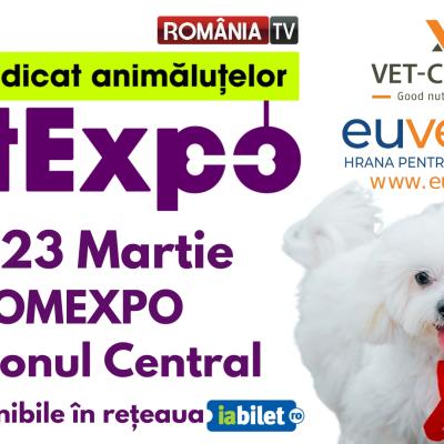 Inovație și distracție la PetExpo 2025: Produse smart, sesiuni foto AI și experiențe interactive