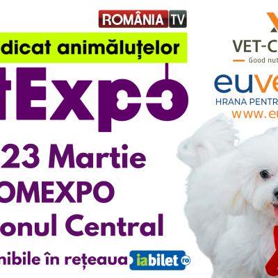 Inovație și distracție la PetExpo 2025: Produse smart, sesiuni foto AI și experiențe interactive