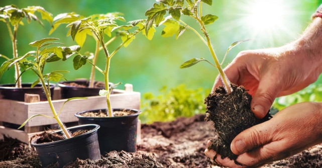 Despre beneficiile magazinelor online de bricolaj