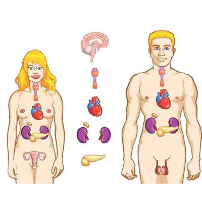 Boala ca sansa. Cum sa descifram mesajul ascuns al bolii