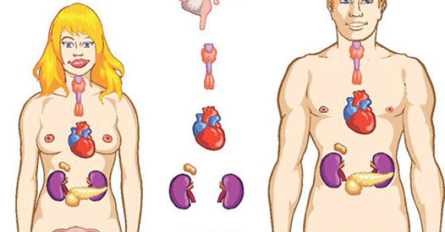 Boala ca sansa. Cum sa descifram mesajul ascuns al bolii