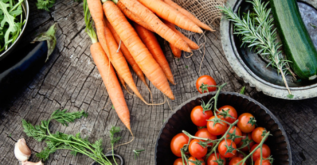 Bazele naturale ale alimentatiei