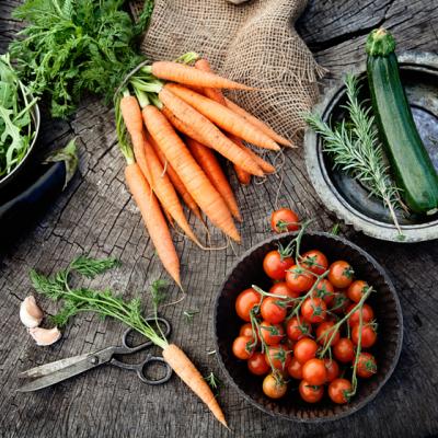 Bazele naturale ale alimentatiei