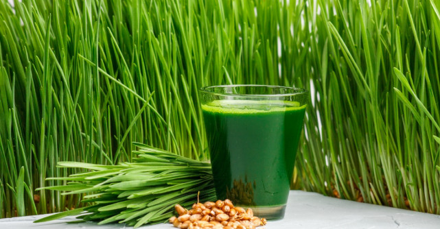 Sucul din grau verde: beneficii pentru sanatate