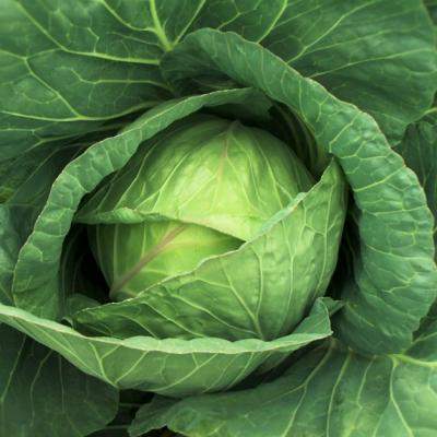 Dieta de toamna: Slabeste cu supa de varza