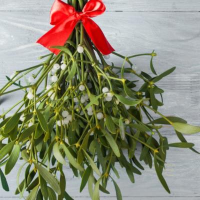 Cele patru proprietati miraculoase ale vascului