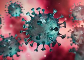 Planul global privind raspunsul umanitar in contextul COVID-19