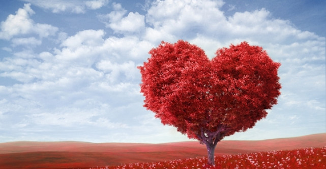 Alfabetul dragostei: Cele mai frumoase citate despre iubire dupa Rudy Francisco