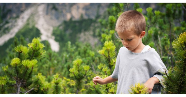Un tata avea patru fii. Uite ce i-a rugat sa faca