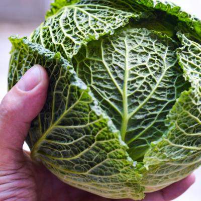 Ții post sau ești vegan? Iată cum poți utiliza un blender pentru a prepara rețete delicioase