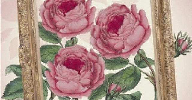 Rafinament si eleganta britanica de la Bronnley