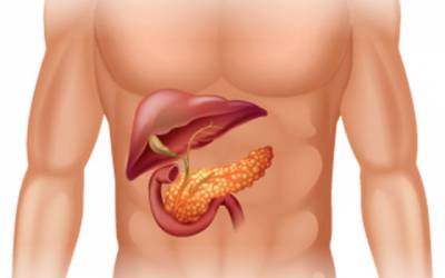 Pancreatita dieta