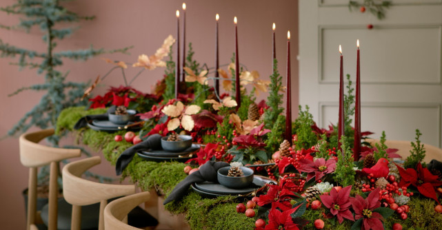 Cum să îți transformi casa într-o sărbătoare a simțurilor cu ajutorul Crăciunițelor