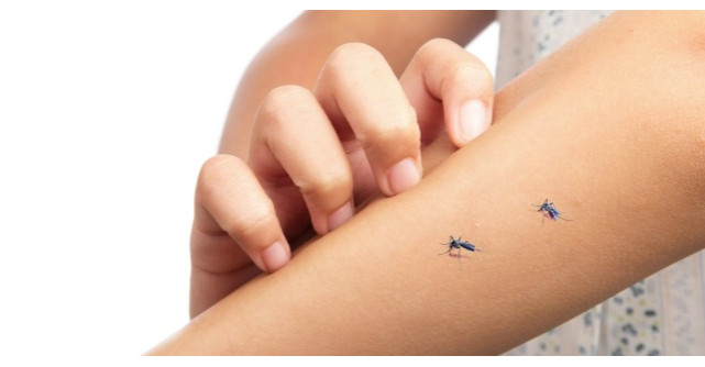 Motivul pentru care unii oameni sunt muscati mai des de tantari!