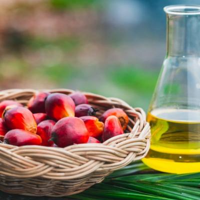 Cat de sanatos este uleiul de palmier?