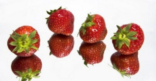 Ziua 4: Operatiunea H2O