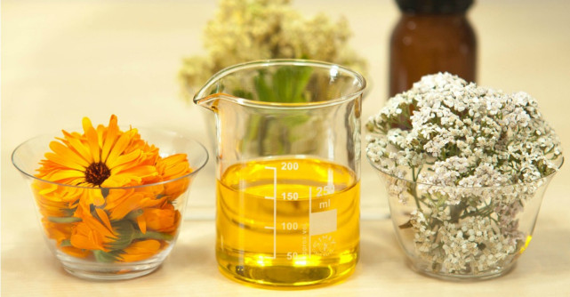 Coada Soricelului, regina plantelor medicinale din Romania