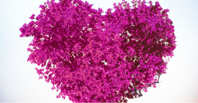 Astrologie: Horoscopul dragostei pentru luna martie 2017