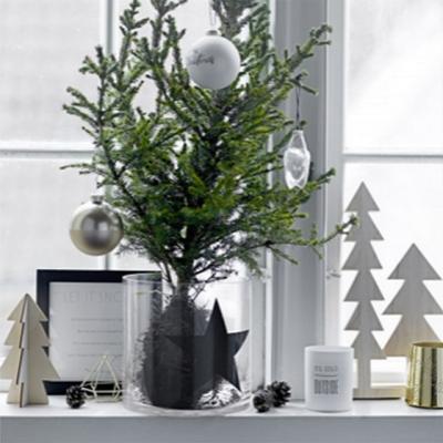 15 decoratiuni deosebite, pentru bradul de Craciun