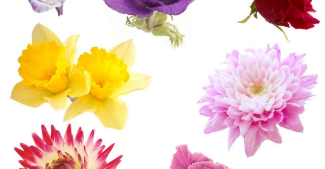 Top 10 Melodii de Primavara