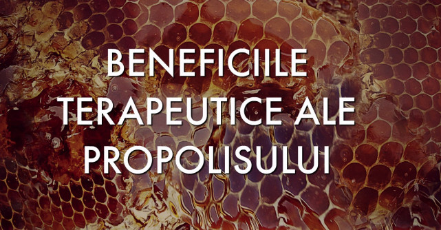 Ce putem trata cu propolis?