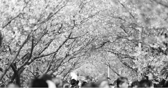 Parerea lui Radu: De ce o fi lasat Dumnezeu lucrurile asa?