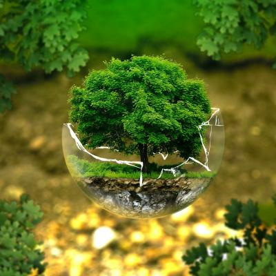 4 strategii pentru o viata eco