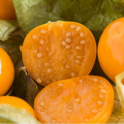 Ce sunt fructele Physalis și cum să le folosești?