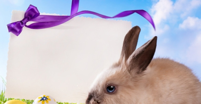 Horoscop: Ce surpriza ti-a pregatit Iepurasul de Paste