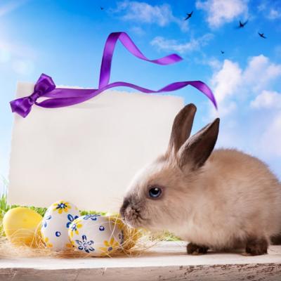 Horoscop: Ce surpriza ti-a pregatit Iepurasul de Paste