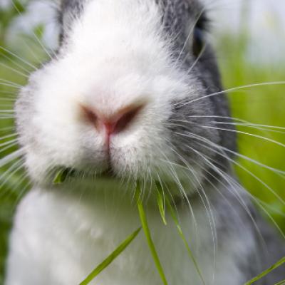 Video: Baietii de la Coldplay ne duc in paradis