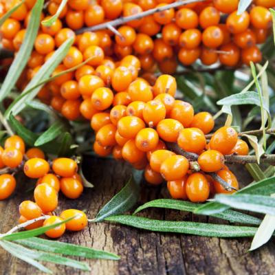 Traieste sanatos: La ce este buna CATINA