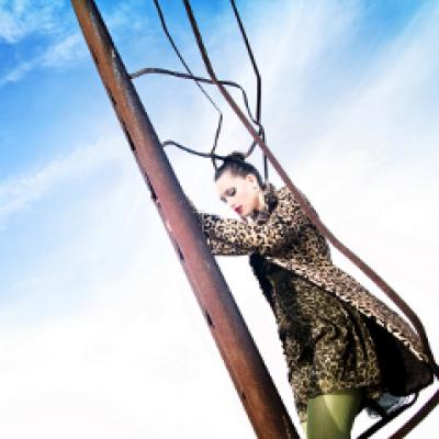 Winter in the forest