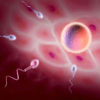 Afla cum sa primesti finantare pentru fertilizarea in vitro