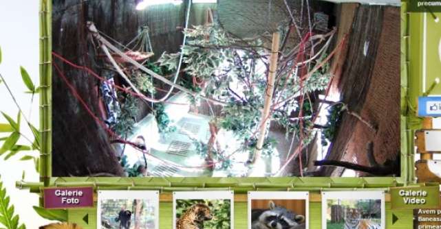 Digital Zoo, singura gradina zoologica virtuala din Romania, are o noua infatisare